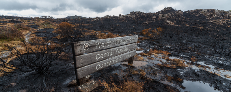 A sign welcomes bushwalkers to Tasmania’s Central Plateau Conservation Area, via Dan Broun